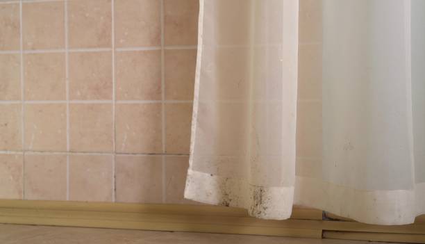 Best Mold Remediation for Rental Properties  in Russell Springs, KY