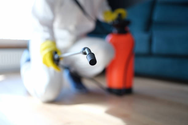 Best Emergency Mold Remediation  in Russell Springs, KY